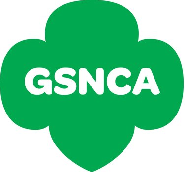 Girl Scout Trefoil Logo N2