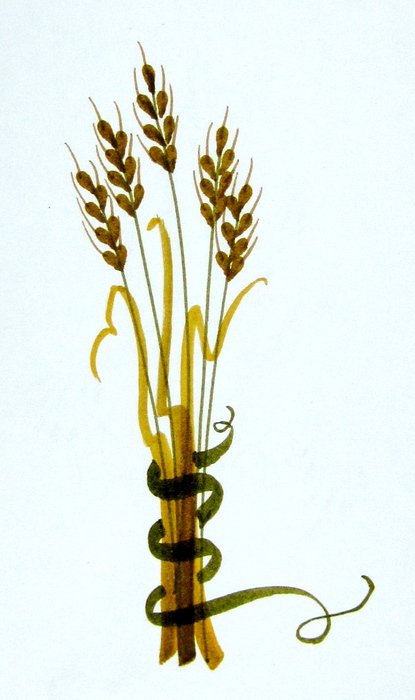 Clipart Wheat Bundle The Grains Can Be Bundled