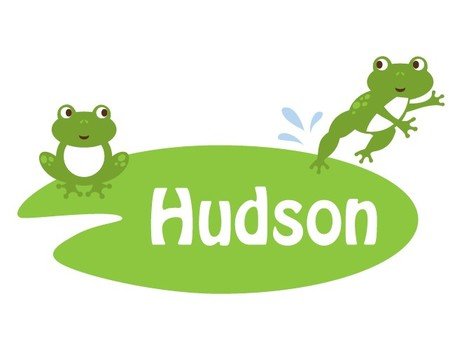 Frog On Lily Pad Clip Art N29