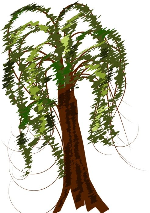 Brown Tree Clip Art