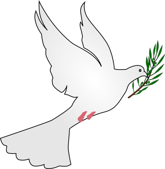 Peace Dove N6