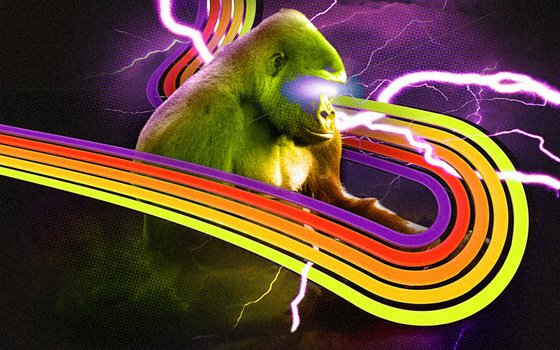 gorilla among abstract waves as a picture for clipart