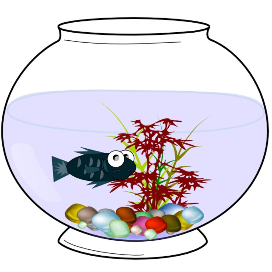 Fish Bowl Clip Art N31 free image download