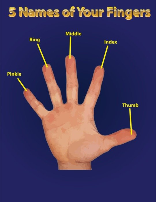 Finger Names