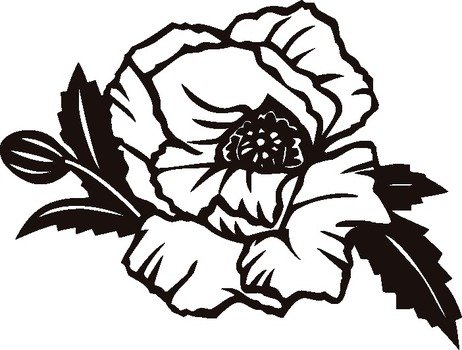 Poppy Clip Art N12