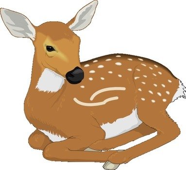 Baby Deer Clip Art N22