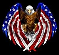 painted eagle with the wings of the American flag