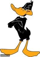 Daffy Duck N14