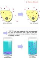 Cell Diffusion