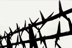 black barbed wire on a white background