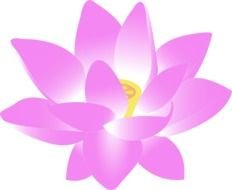 painted pink lotus with a yellow core