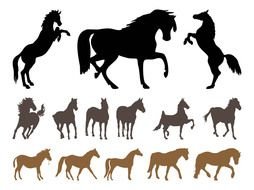 black silhouettes of horses as a graphic image