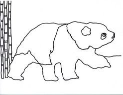 black and white picture of a panda for coloring