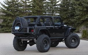 photo of a black jeep on the background of fir trees