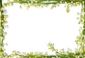 painted lily of the valley frame