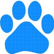 Blue Paw Print N6