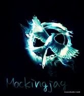 Hunger Games Mockingjay N5