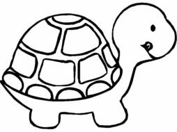 DISEGNI ANIMALI MISTI 8