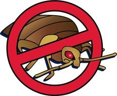 No Bed Bugs
