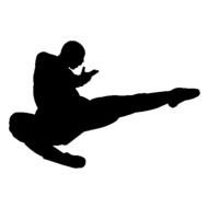 Showing Gallery For Karate Silhouette Png