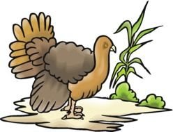 brown turkey as a graphic image