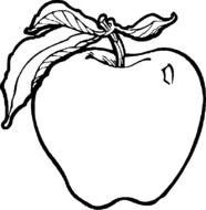 coloring page with an apple