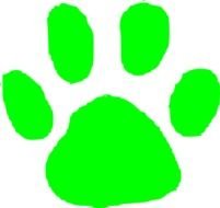 Pink Paw Print Clip Art N17