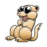 Meerkat Cartoons N3