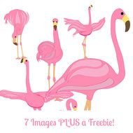 Pink Flamingo Clip Art N35