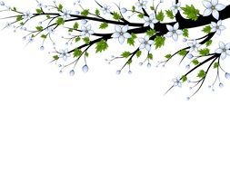 flower template for clipart