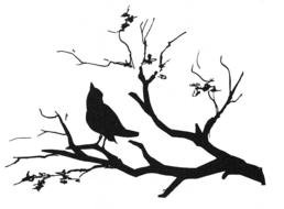 black bird on a branch as a picture for clipart