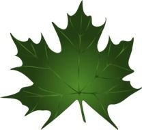 Green Maple Leaf Clip Art N7