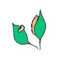 Spring Rain Clip Art N10