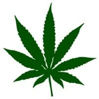 Marijuana Leaf Clip Art N11
