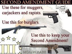 Pro 2nd Amendment