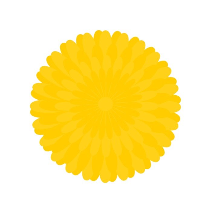 yellow round Flower, drawing