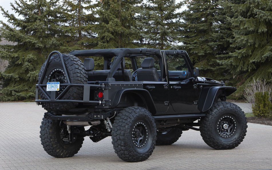 photo of a black jeep on the background of fir trees