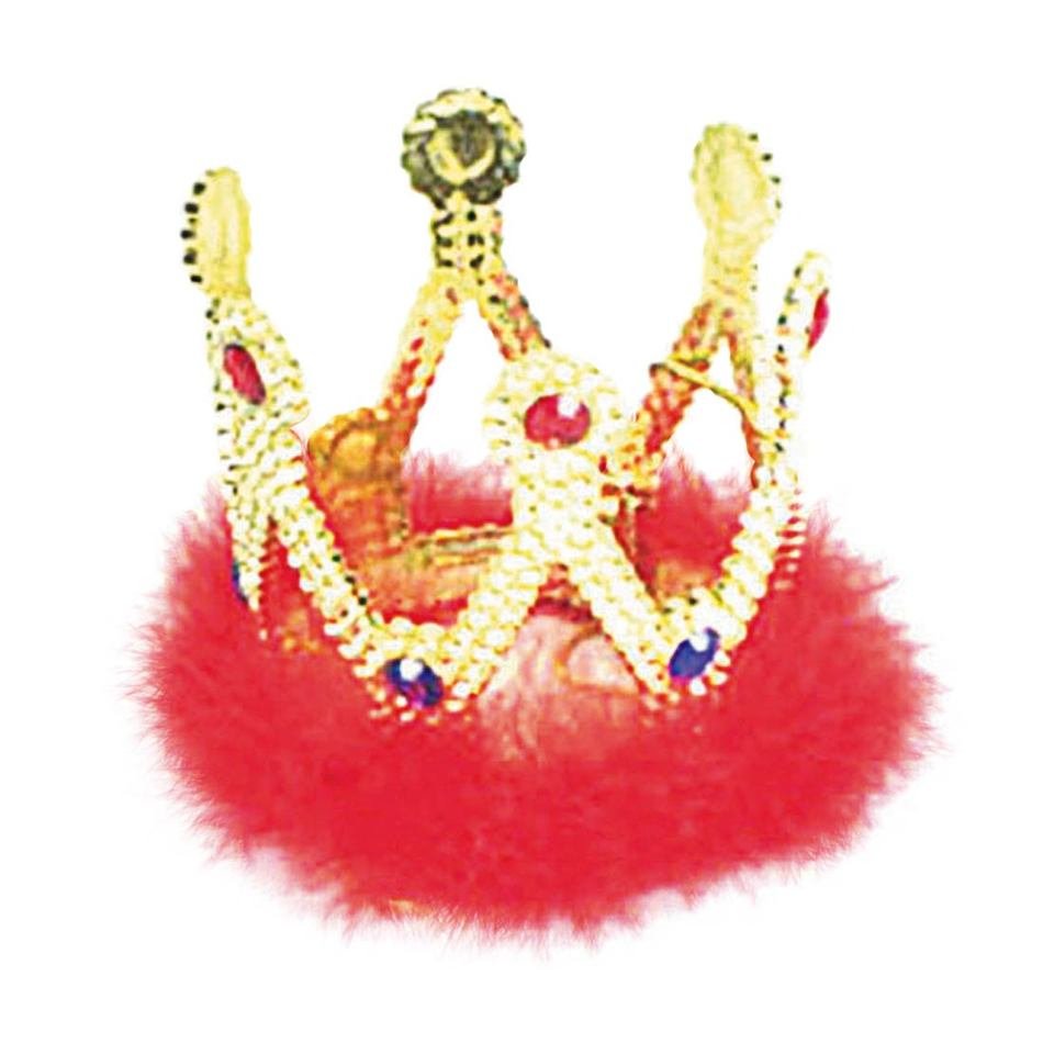 Colorful queen crown with the jewels