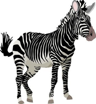 Zebra Clip Art N46