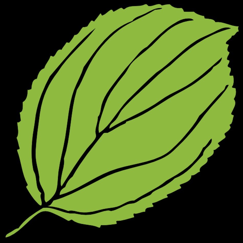 Leaf Clip Art N73