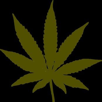 Marijuana Leaf Clip Art N12 free image download