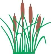 Clip art of cattail