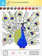 Drawing Sketches Of Peacocks