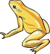 Frog Clip Art N128