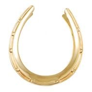 Tiffany And Co Horseshoe Necklace