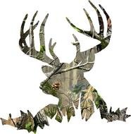 Camo Deer Skull Decals N4