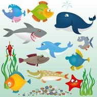 Lenguados Delfines Estrellas De Mar Ballenas Vector Material
