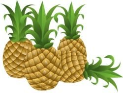four Pineapple drawing