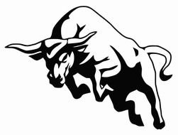 painted black and white bull in a jump