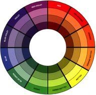 Eye Makeup Color Wheel